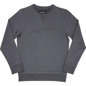 Vinrose Sweater Nacho - Trui - Sweater - Grijs - Jongens - Maat: 146/152