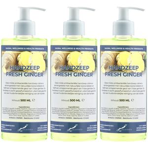 Handzeep Fresh Ginger 500 ml - set van 3 stuks - met gratis pomp - Voordeelverpakking