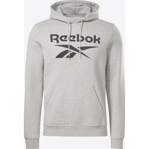 Reebok RI FLC BIG LOGO HOOD - Heren Trui - Grijs - Maat XL