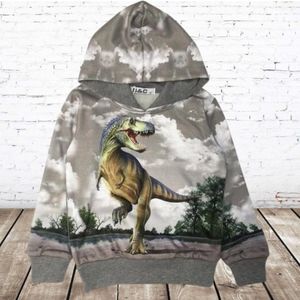 Hoodie met dinosaurus H176a -s&C-86/92-Hoodie jongens