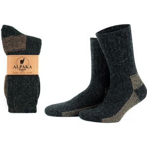 GoWith Alpaca Thermosokken-2 paar-Wollen Sokken-Maat 43-46