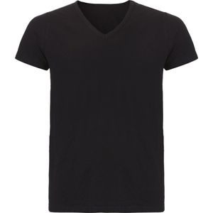 ten Cate Basics v-shirt zwart 2 pack voor Heren | Maat S