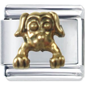 Quiges - Schakel - Bedel - 9mm - charms - Kleurrijk - Hond - Geschikt voor - Nomination- armband - Schakelarmband - italy bedels armband