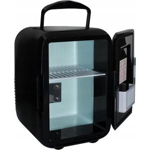 Mini Koelkast Frigobox 220/12 Volt AC/DC Make-Up Beauty Skincare/Auto/Caravan/Camping Minibar