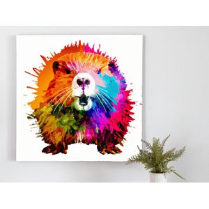 Rainbow burst beaver | Rainbow Burst Beaver | Kunst - 60x60 centimeter op Forex | Foto op Forex