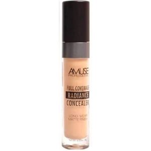 Amuse - Full Coverage - 04 Sand - Radiance - Concealer - Matte Finish - 9 g