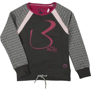 Birds by D-Rak Sweater - grijs - maat 140