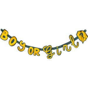 Boland - Letterslinger 'Boy or Girl' - Geen thema - Babyshower - Gender reveal
