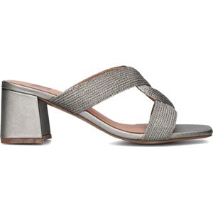 Bibi Lou - 851z94hg - Hakken Dames - Grijs - Leren Muiltje Met Blokhak