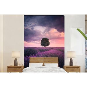 Lavendel - Bloemen - Paars - Boom - Natuur