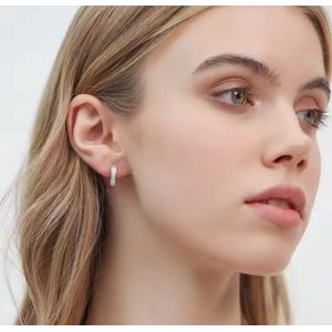 Zilveren oorbellen met zirkoon