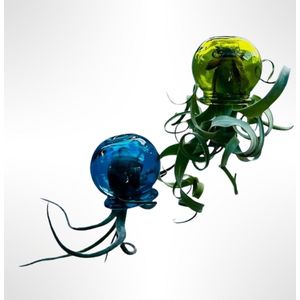 Set van 2 Jelly-Fish luchtplanten met prachtige glazen bollen (groen en blauw) /plant/handgemaakt/kamerplant/tillandsia/hangplant/airplants