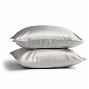 2x Zijden Kussensloop 45x65cm Maanlicht Ritssluiting 22 Momme - Kussensloop set - Luxe Silk Kussensloop 100% moerbei zijde - Zijde kussensloop - Silk Heaven - 45x65cm (voor ergonomische kussens 40x60cm) / Ritssluiting