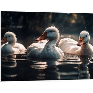 PVC Schuimplaat- Eenden - Water - Wit - 100x75 cm Foto op PVC Schuimplaat