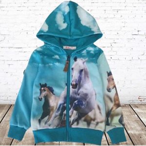 Lichtblauwe hoodie met paard -James & Nicholson-158/164-Hoodie meisjes