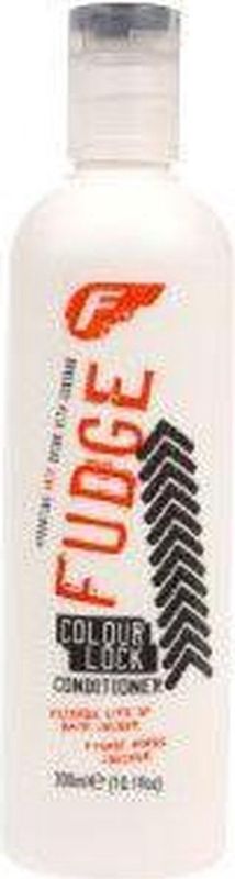 Fudge - Colour Lock - Conditioner - 300 ml - Beschermt Haarkleur