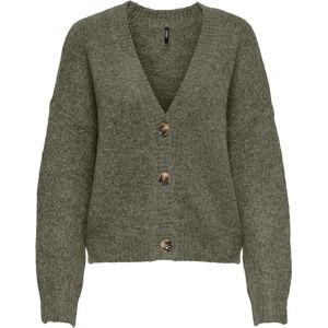 ONLY CARMAKOMA - CARZOEY CARDIGAN KNT NOOS - Dames - Cardigans