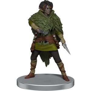 D&D Icons of the Realms Dragonlance Warrior Set