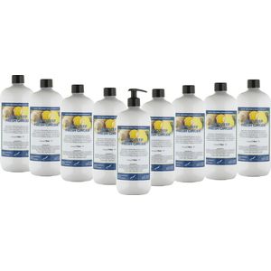 Handzeep Fresh Ginger 1 liter - set van 10 stuks - met gratis pompje - Voordeelverpakking