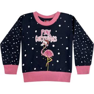 Kerst - Flamingo - sweater - meisjes - Pink Christmas - blauw/roze - maat 152/158
