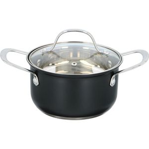 Alpina Pan met Deksel - Ø 16 cm - voor alle Warmtebronnen, ook Inductie
