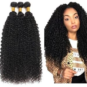 Frazimashop- 30 inch - kinky krullen extensions- 100% human hair- 1 stuk bundel kleur 1b- House of Royaltys - Virgin hair natural black -