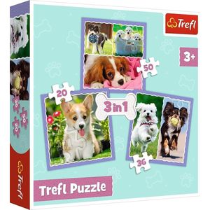 Trefl Honden 3-in-1 puzzel - 20/36/50 stukjes