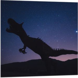 WallClassics - Vlag - Silhouette van een Dinosaurus in de Nacht - 80x80 cm Foto op Polyester Vlag