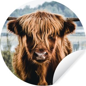 WallCircle - Behangcirkel - Schotse hooglander - Dieren - Koe - Natuur - Water - Zelfklevend behang - Cirkel behang - 30x30 cm - Wanddecoratie rond - Behangsticker