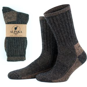 GoWith Diabetes Alpaca Wollen Sokken-2 paar-Thermosokken-Maat 35-38