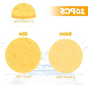 Allecto Premium - 20 stuks gezichtssponzen voor gezichtsreiniging en make-up verwijderen met cellulose - ronde cosmetische sponzen