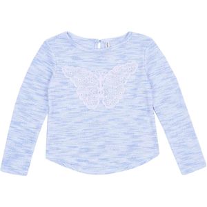 Trui met blauwe vlinder