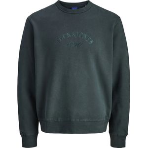 Jack & Jones Trui Jorbleecker Branding Sweat Crew Bf 12286775 Forest River/jj Mannen Maat - L