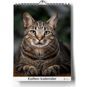 Staande kalender katten - 24x35cm - Huurdies Kalenders