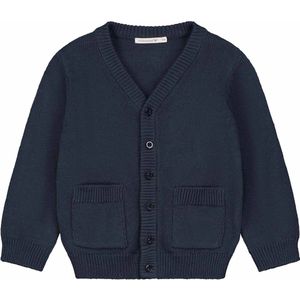 Prénatal baby vest - Jongens - Dark Bluegrey - Maat 68