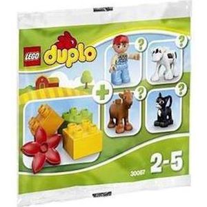 LEGO DUPLO Boerderij Surprise (Polybag) - 30067