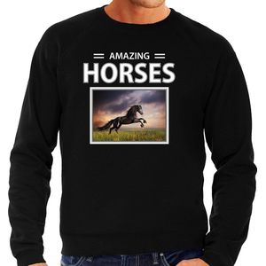 Dieren foto sweater Zwart paard - zwart - heren - amazing horses - cadeau trui Zwarte paarden liefhebber S