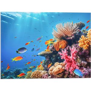 Vlag - Felkleurige Koraal Omringd door Tropische Vissen op Zeebodem - 40x30 cm Foto op Polyester Vlag