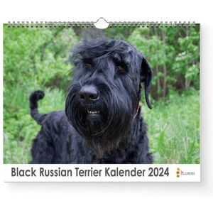 Kalender 2024 - Black Russian Terrier - 35x24cm - 300gms - Spiraalgebonden - Inclusief ophanghaak