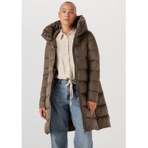 SAVE THE DUCK - LYSA - Winterjas - Bruin