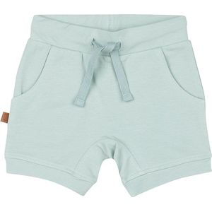 Frogs and Dogs - Dino Plain Shorts | Cloud Blue - Katoen - Maat 86