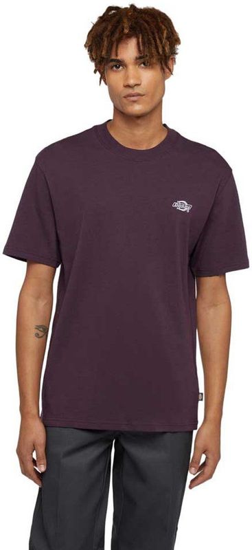 Dickies Summerdale T-shirt Met Korte Mouwen