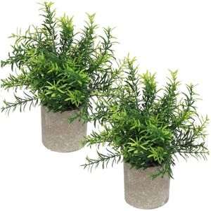 2-Pack - Mini potplanten Kunstmatige Eucalyptus, Buxus en Rozemarijn - 8,3-9 inch hoog Imitatiekruiden - Voor tafeldecoratie binnenshuis (Spray Eucalyptus)