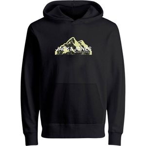 JACK&JONES JUNIOR JCOMOUNTAIN LOGO SWEAT HOOD SN JNR Jongens Trui - Maat 152