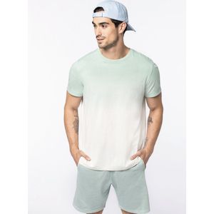 T-shirt Dip Dye, Heren, 100% biologisch katoen, TT NS345, kleur Jade Green/Groen, wit, maat XL