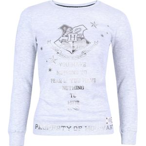 Grijze HOGWARTS HARRY POTTER blouse