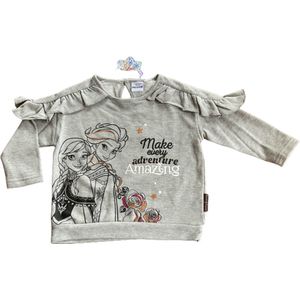 Disney Frozen Sweater - Grijs - Maat 110/116 (6 jaar)