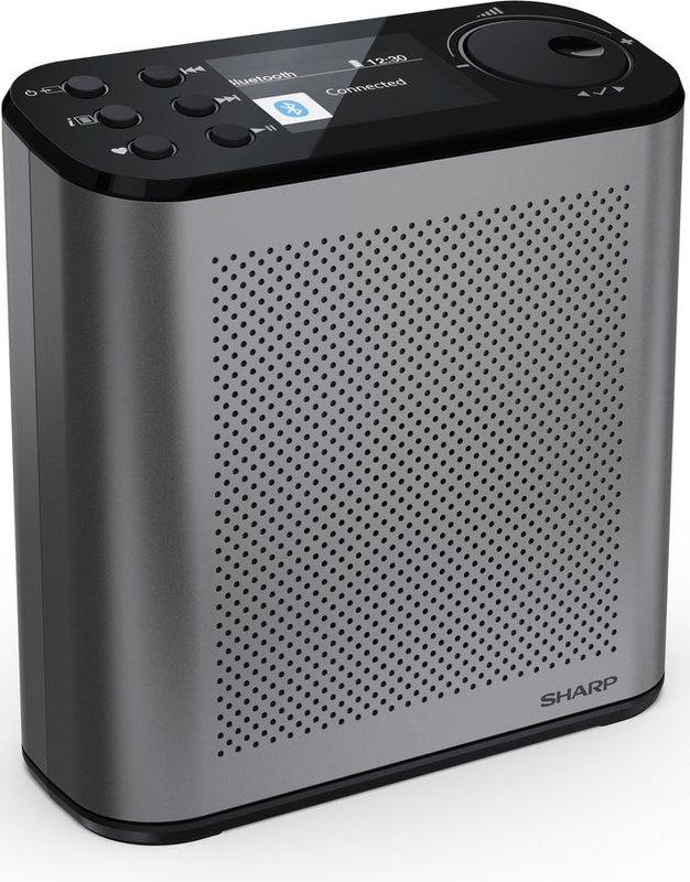 Sharp - DR-P530 Osaka - DAB+ en FM Radio - Storm Grijs - Draagbaar met Bluetooth