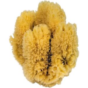 Natuurlijke Spons voor Luxe Badervaring