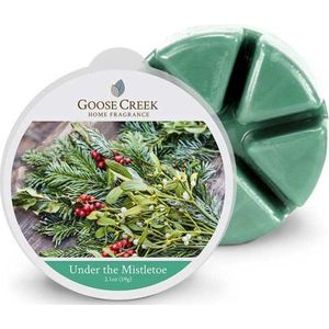 Goose creek under the mistletoe wax melts
